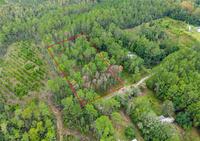 Photo 4 of Land for sale at 0 SE 125th Street, Starke, FL 32091 | MLS# GC544094 | Listing updated on 2026-10-10