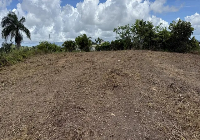 Photo 1 of Land for sale at Bo Tejas Carr 908 Km 8 H 0 Int Sector Los Abreu, Las Piedras, PR 00771 | MLS# PR9124883 | Listing updated on 2026-10-11