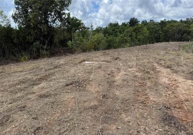Photo 2 of Land for sale at Bo Tejas Carr 908 Km 8 H 0 Int Sector Los Abreu, Las Piedras, PR 00771 | MLS# PR9124883 | Listing updated on 2026-10-11