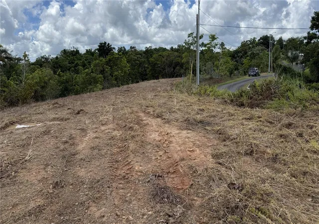 Photo 3 of Land for sale at Bo Tejas Carr 908 Km 8 H 0 Int Sector Los Abreu, Las Piedras, PR 00771 | MLS# PR9124883 | Listing updated on 2026-10-11