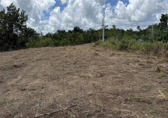 Photo 4 of Land for sale at Bo Tejas Carr 908 Km 8 H 0 Int Sector Los Abreu, Las Piedras, PR 00771 | MLS# PR9124883 | Listing updated on 2026-10-11
