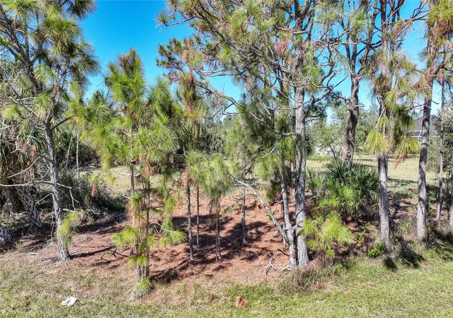 Photo 4 of Land for sale at 9531 & 9551 Horace Cir, Port Charlotte, FL 33981 | MLS# D6149126 | Listing updated on 2026-10-12
