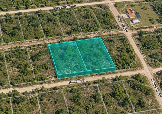 Land for sale at 304 & 306 Camellia Dr, INDIAN LAKE ESTATES, FL 33855 | MLS# TB8556916