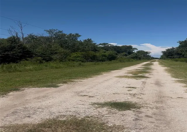 Land for sale at 2836 W Starr Rd, AVON PARK, FL 33825 | MLS# O6448988