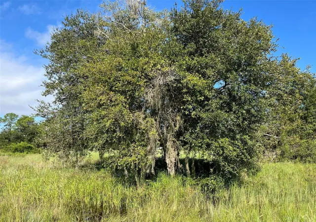 Photo 1 of Land for sale at 1702 Mcarthur Ave, Lehigh Acres, FL 33972 | MLS# K4903860 | Listing updated on 2026-10-16