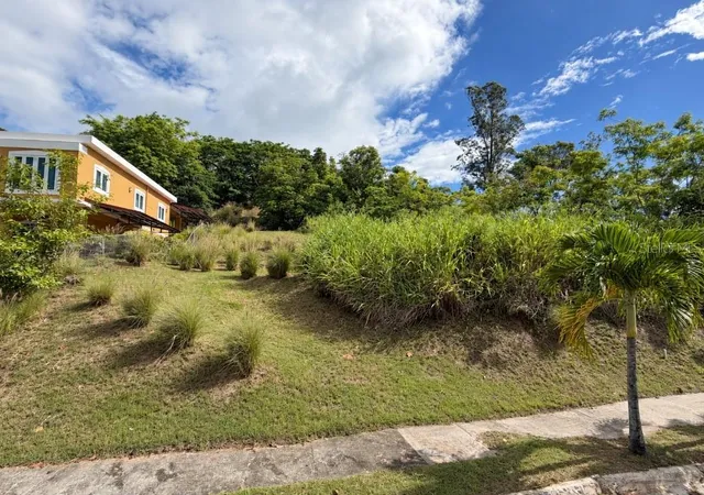 Photo 1 of Land for sale at Carr 734 Km 58 Solar 3 Barrio Arenas, Cidra, PR 00739 | MLS# PR9124892 | Listing updated on 2026-10-11