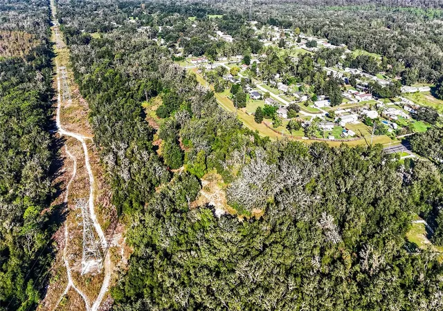 Land for sale at 13055 Morris Brg Rd, THONOTOSASSA, FL 33592 | MLS# TB8557015