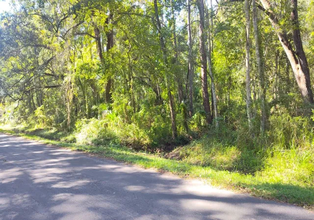 Photo 2 of Land for sale at 19289 Center St, Brooksville, FL 34601 | MLS# A4709212 | Listing updated on 2026-10-13