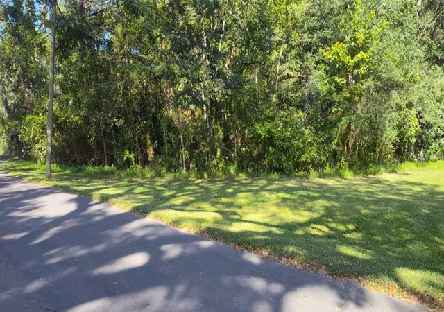 Photo 4 of Land for sale at 19289 Center St, Brooksville, FL 34601 | MLS# A4709212 | Listing updated on 2026-10-13