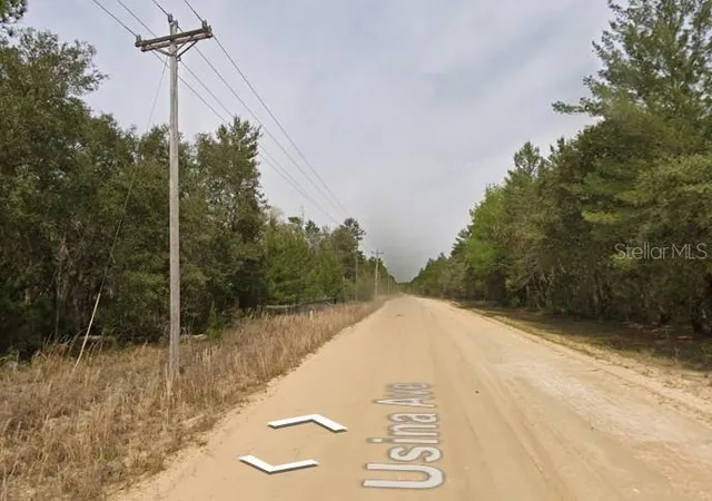 Photo 2 of Land for sale at Usina Ave, Interlachen, FL 32148 | MLS# D6149131 | Listing updated on 2026-10-12
