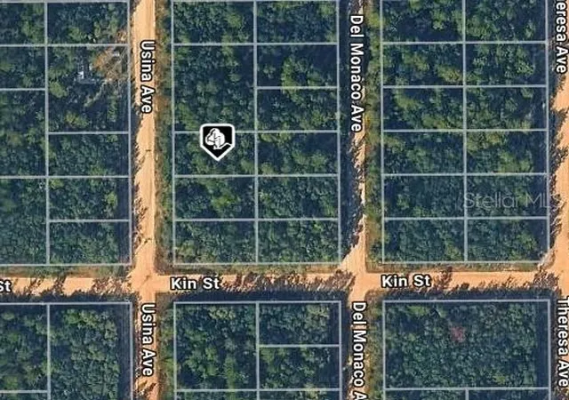 Photo 3 of Land for sale at Usina Ave, Interlachen, FL 32148 | MLS# D6149131 | Listing updated on 2026-10-12