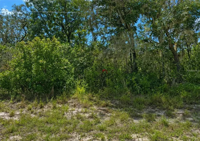 Photo 4 of Land for sale at 0 Riverstone St #Hernando, Webster, FL 33597 | MLS# TB8557074 | Listing updated on 2026-10-12
