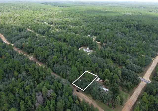 Photo 3 of Land for sale at 604 Del Monaco Ave, Interlachen, FL 32148 | MLS# O6449137 | Listing updated on 2026-10-21