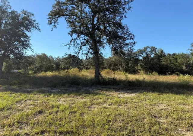 Land for sale at Tbd NE 106th Terrace, BRONSON, FL 32621 | MLS# GC544114