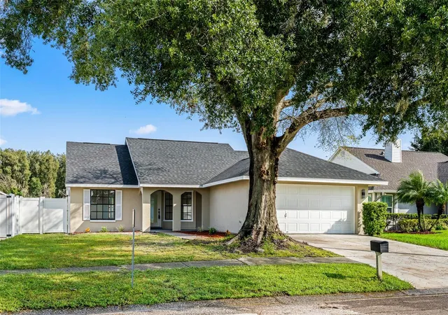 Photo 1 of Single family home for sale at 7131 Hollowell Dr, Tampa, FL 33634 | MLS# TB8557222 | Listing updated on 2026-10-24