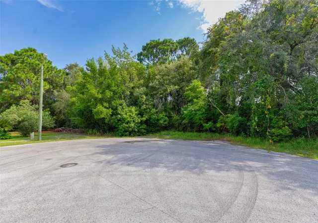 Photo 3 of Land for sale at Lakeview Ct, Spring Hill, FL 34608 | MLS# TB8557244 | Listing updated on 2026-10-13