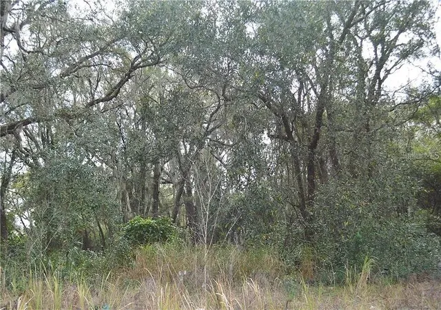 Photo 4 of Land for sale at 1925 N Dean Rd, Orlando, FL 32817 | MLS# O6449284 | Listing updated on 2026-10-24