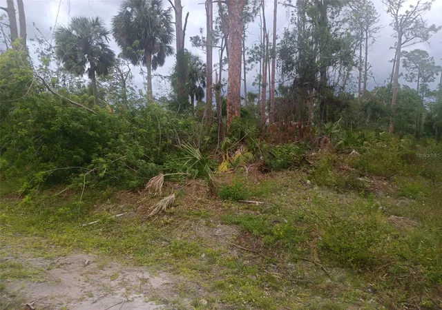 Photo 3 of Land for sale at 18178 Driggers Ave, Port Charlotte, FL 33948 | MLS# O6449314 | Listing updated on 2026-10-13