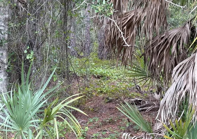 Photo 2 of Land for sale at 14060 Dunlap Ave, Port Charlotte, FL 33953 | MLS# C7531946 | Listing updated on 2026-10-16