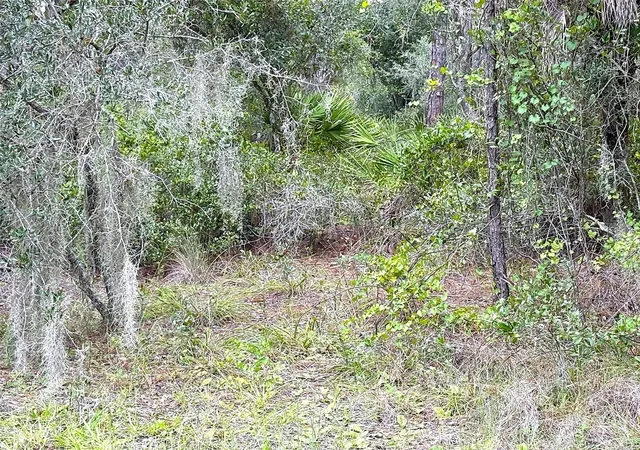 Photo 3 of Land for sale at 14060 Dunlap Ave, Port Charlotte, FL 33953 | MLS# C7531946 | Listing updated on 2026-10-16