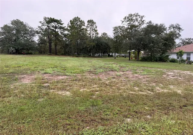 Photo 2 of Land for sale at 14042 English Sparrow Rd, Weeki Wachee, FL 34614 | MLS# S5159405 | Listing updated on 2026-10-13
