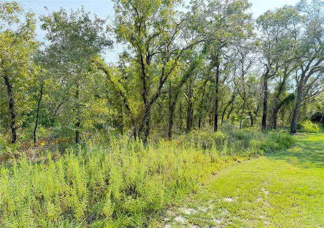 Photo 1 of Land for sale at 11096 Marsh Wren Ave, Weeki Wachee, FL 34614 | MLS# TB8557507 | Listing updated on 2026-10-14