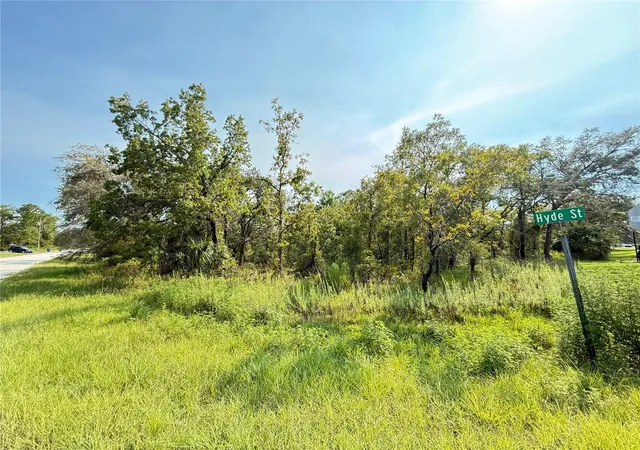 Photo 2 of Land for sale at 11096 Marsh Wren Ave, Weeki Wachee, FL 34614 | MLS# TB8557507 | Listing updated on 2026-10-14