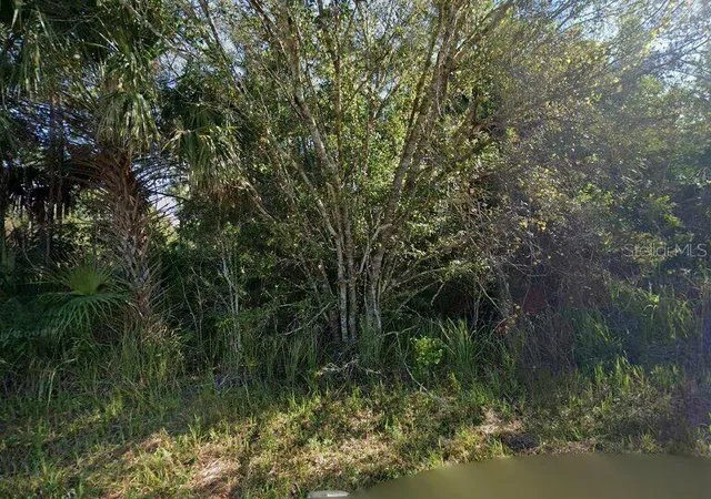 Land for sale at 6006 Terry Ave N, LEHIGH ACRES, FL 33971 | MLS# C7531964