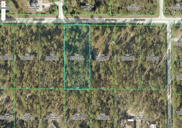 Land for sale at 9466 Zebrafinch Ave, Brooksville, FL 34614 | MLS# TB8557738