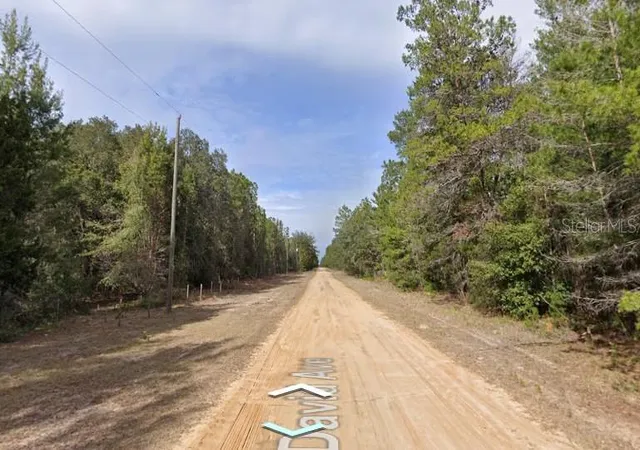 Photo 1 of Land for sale at David Ave, Interlachen, FL 32148 | MLS# D6149175 | Listing updated on 2026-10-14