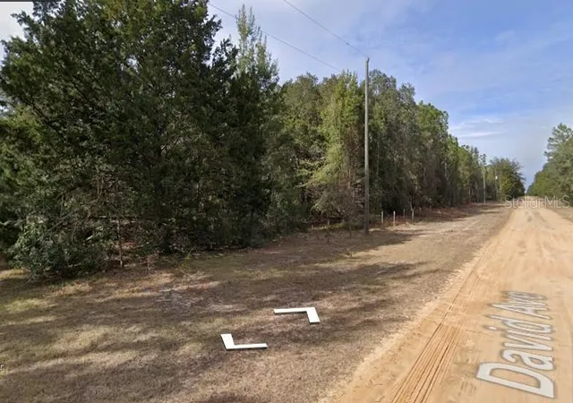Photo 3 of Land for sale at David Ave, Interlachen, FL 32148 | MLS# D6149175 | Listing updated on 2026-10-14
