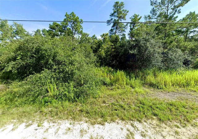 Land for sale at 7301 Bahama Swallow Ave, Brooksville, FL 34613 | MLS# W7890302