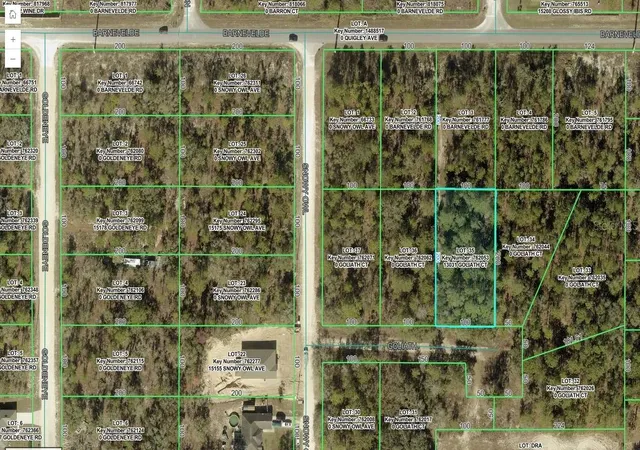 Land for sale at 13031 Goliath Ct, Brooksville, FL 34614 | MLS# TB8557975
