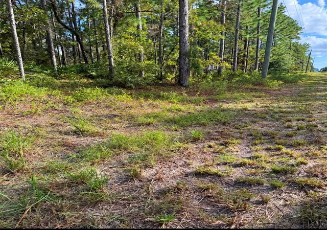 Photo 1 of Land for sale at 16154 Malden Rd, Weeki Wachee, FL 34614 | MLS# TB8558034 | Listing updated on 2026-10-20