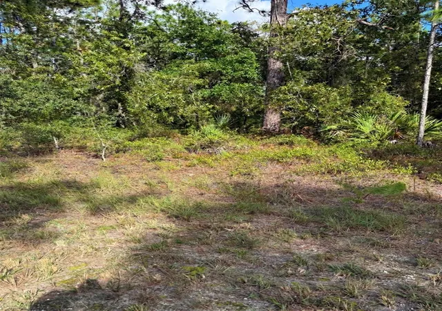 Land for sale at 16154 Malden Rd, WEEKI WACHEE, FL 34614 | MLS# TB8558034