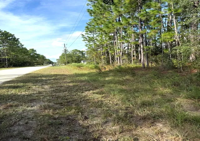 Photo 3 of Land for sale at 16154 Malden Rd, Weeki Wachee, FL 34614 | MLS# TB8558034 | Listing updated on 2026-10-20