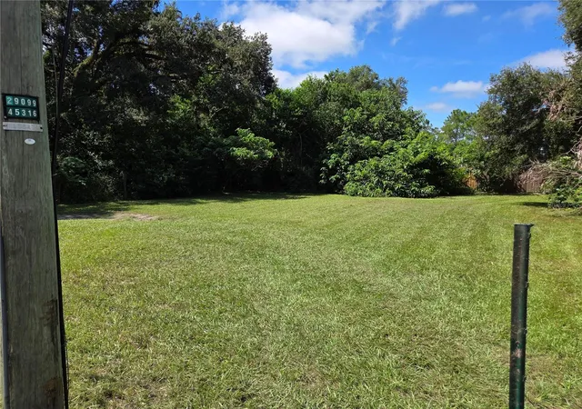 Land for sale at 11702 Ann, THONOTOSASSA, FL 33592 | MLS# O6449880