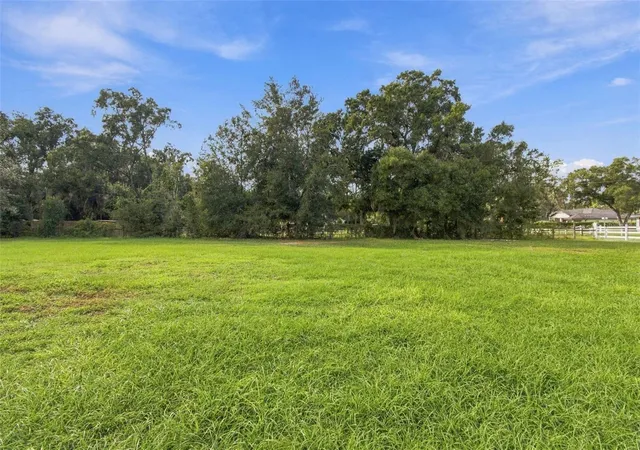 Photo 3 of Land for sale at Rhea Dr, Odessa, FL 33556 | MLS# TB8558081 | Listing updated on 2026-10-21