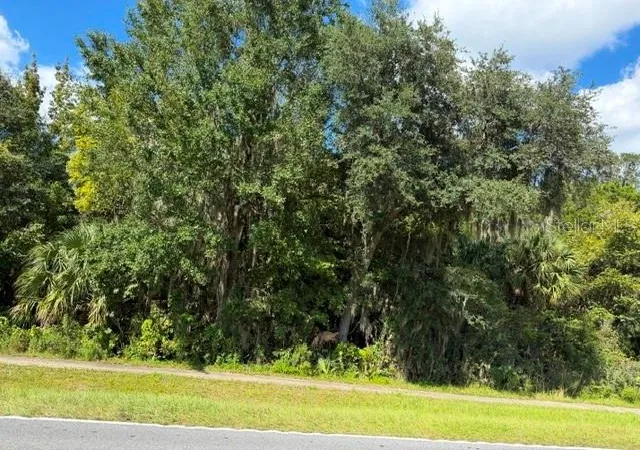 Photo 1 of Land for sale at 0000 Unassigned, Bushnell, FL 33513 | MLS# G5119093 | Listing updated on 2026-10-22