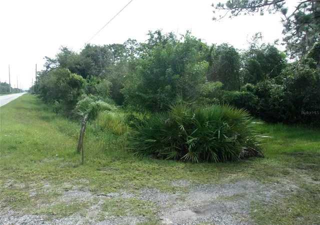 Photo 3 of Land for sale at 4480 Deer Run Rd, Saint Cloud, FL 34772 | MLS# S5159554 | Listing updated on 2026-10-17