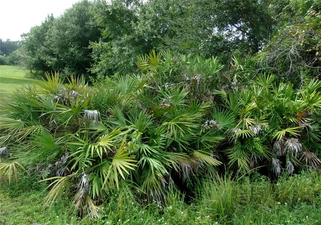 Photo 4 of Land for sale at 4480 Deer Run Rd, Saint Cloud, FL 34772 | MLS# S5159554 | Listing updated on 2026-10-17