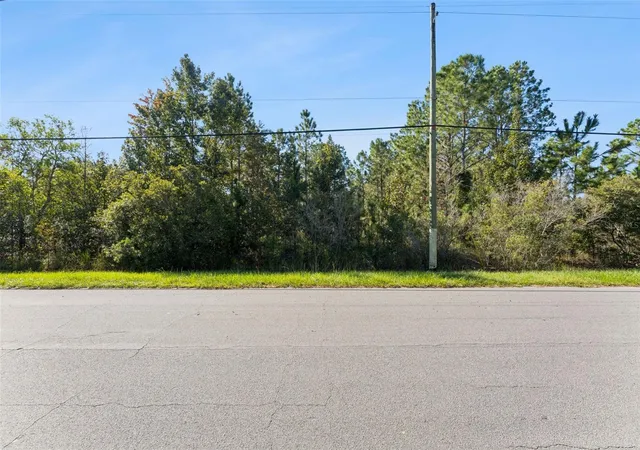 Land for sale at Quinella St, ORLANDO, FL 32833 | MLS# O6450106