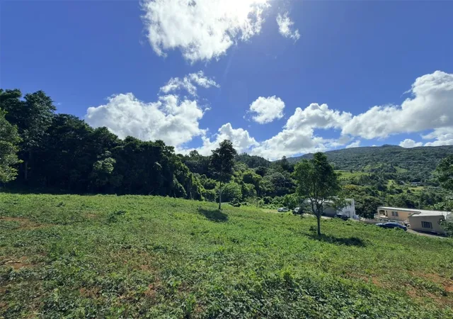 Photo 4 of Land for sale at Pr-907 Km 50 Guzman Arriba Ward, Rio Grande, PR 00745 | MLS# PR9125007 | Listing updated on 2026-10-16