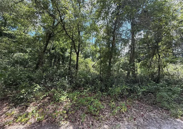 Photo 2 of Land for sale at 313 Calhoun Ave, Florahome, FL 32140 | MLS# K4903883 | Listing updated on 2026-10-16