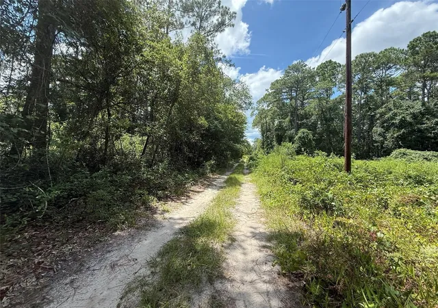 Photo 3 of Land for sale at 313 Calhoun Ave, Florahome, FL 32140 | MLS# K4903883 | Listing updated on 2026-10-16
