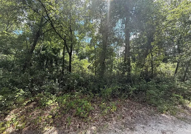 Photo 3 of Land for sale at 313 Calhoun Ave, Florahome, FL 32140 | MLS# K4903883 | Listing updated on 2026-10-16
