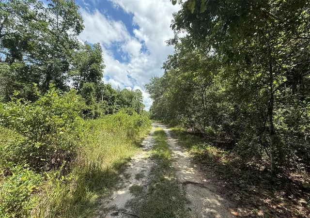 Photo 4 of Land for sale at 313 Calhoun Ave, Florahome, FL 32140 | MLS# K4903883 | Listing updated on 2026-10-16