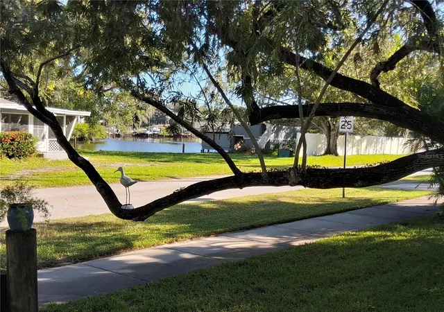 Photo 1 of Single family home for sale at 395 Georgia Ave, Crystal Beach, FL 34681 | MLS# TB8558709 | Listing updated on 2026-10-28