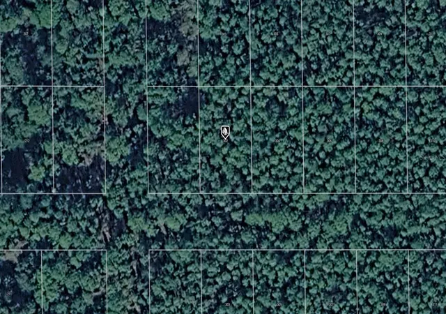 Photo 1 of Land for sale at 302 Siesta Dr, Georgetown, FL 32139 | MLS# A4709834 | Listing updated on 2026-10-21