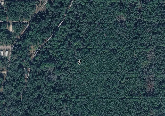 Photo 2 of Land for sale at 302 Siesta Dr, Georgetown, FL 32139 | MLS# A4709834 | Listing updated on 2026-10-21
